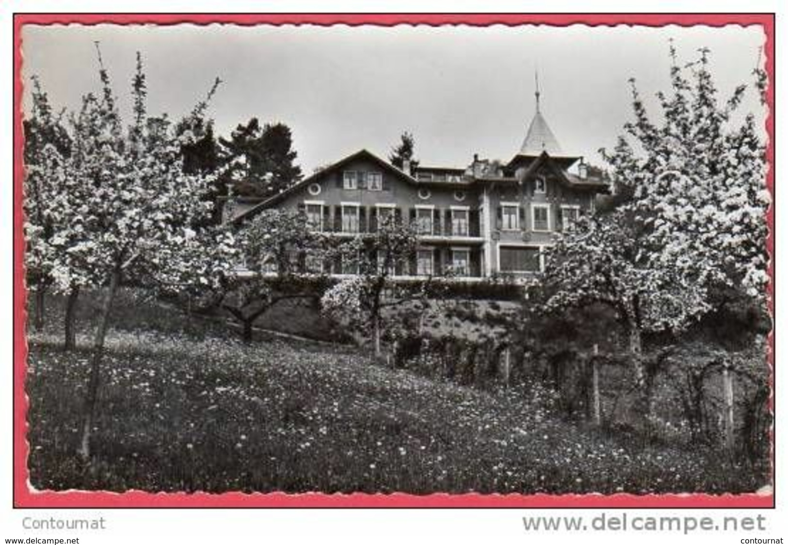 CPSM SUISSE  JONGNY Sur VEVEY " L' ETOILE Du MATIN "   * Format CPA - Jongny