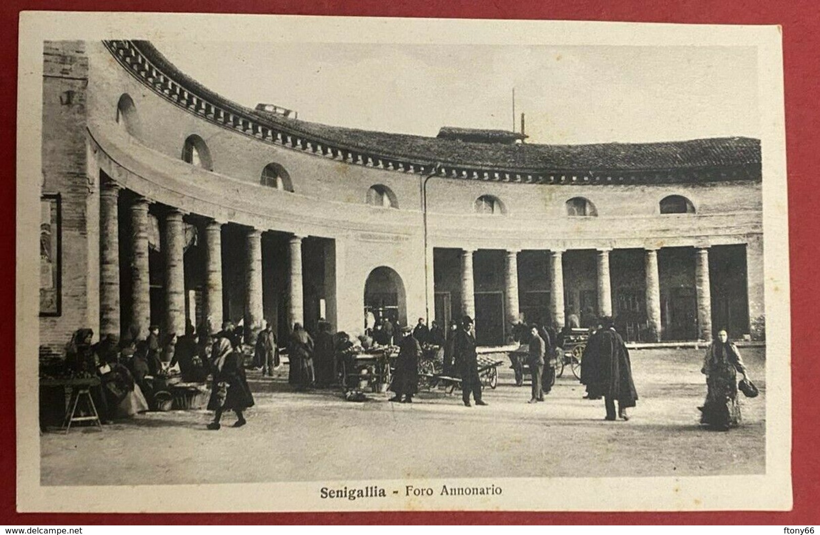 MA20 Cartolina SENIGALLIA (Ancona), FORO ANNONARIO CON MERCATO - FP NV 1928 - Senigallia