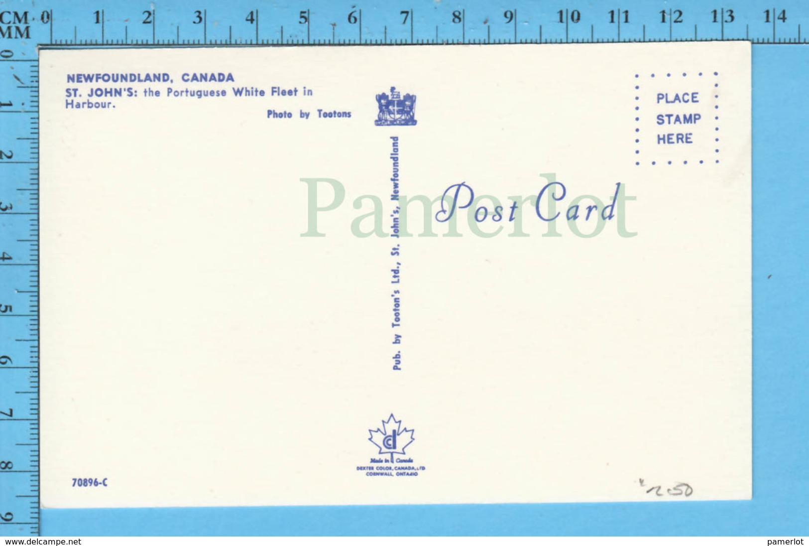 Postcard - Newfoundland - St-John's  The Portuguese White Fleet In Harbour  - Canada - St. John's