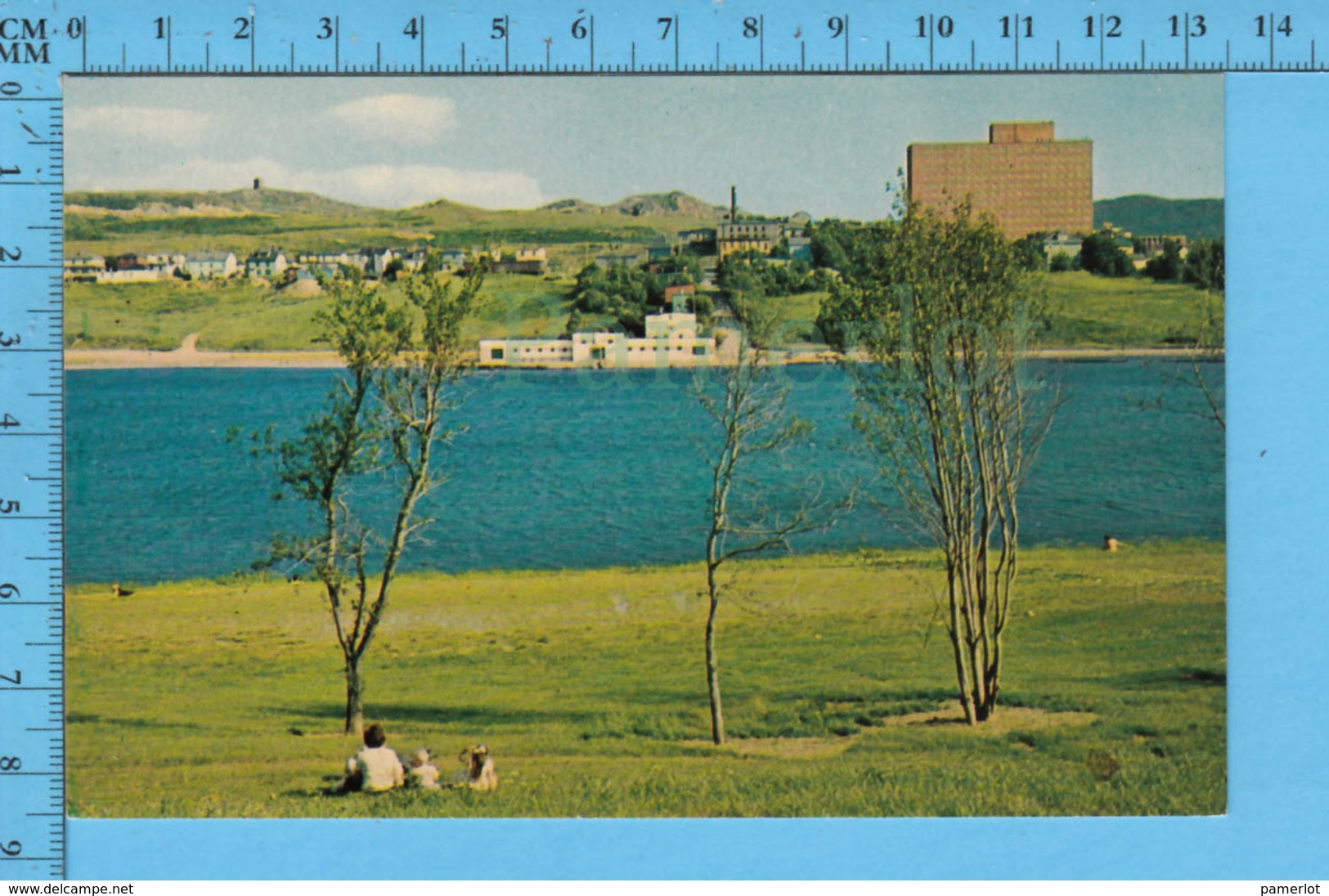 Postcard - Newfoundland - St John's Quidi Vidi, Site Of The Annual Regata - Canada - St. John's