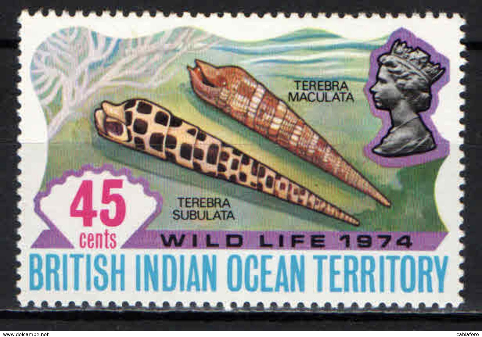 BRITISH INDIAN OCEAN TERRITORY - 1974 - WILD LIFE - TEREBRA SUBULATA E TEREBRA MACULATA - MNH - Territorio Britannico Dell'Oceano Indiano