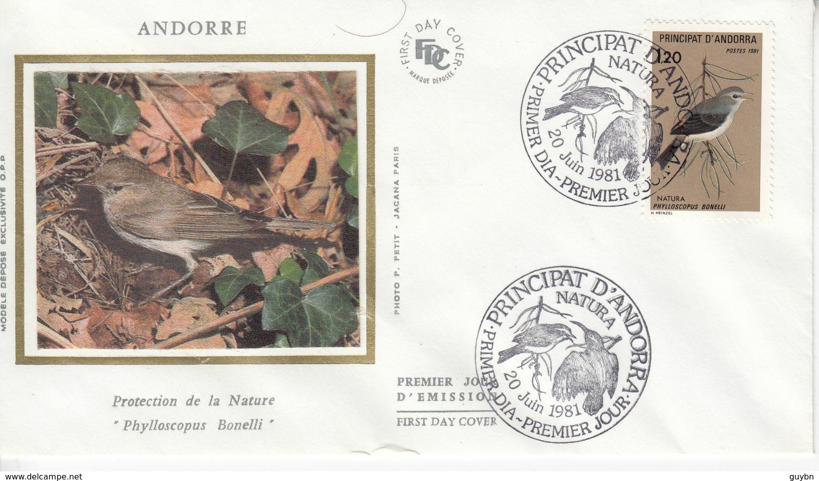 " Andorre Andorra Y.T 294 ..oiseau Phylloscopus  Protection Nature .. Fdc .. Enveloppe Premier Jour Sur Soie . 20/6/1981 - Cartas & Documentos