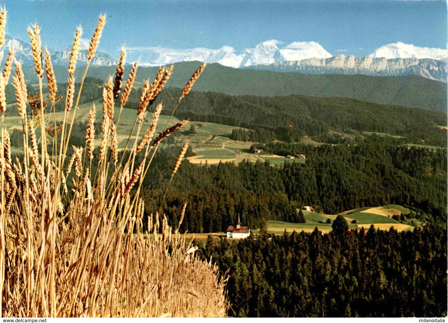 Ausblick Vom "Chuderhüsi" - Röthenbach I. E. Auf Würzbrunnen-Kirche (8313) - Röthenbach Im Emmental