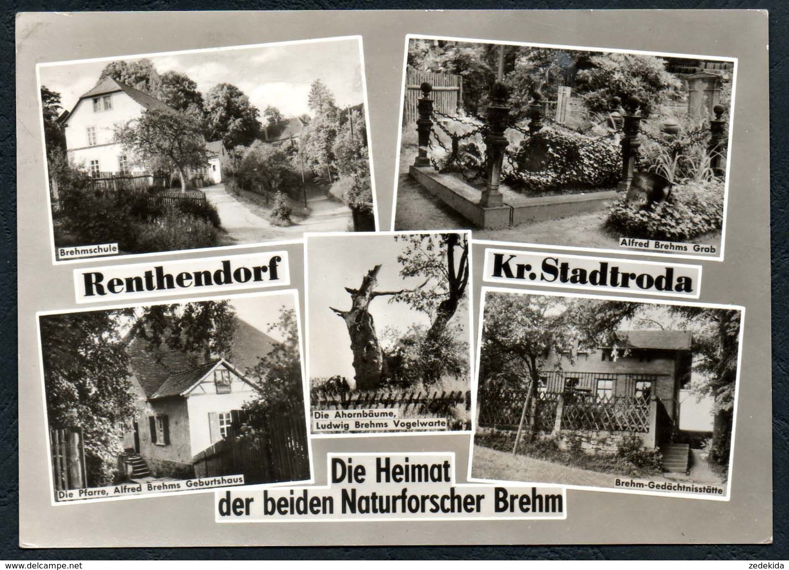 C6330 - Renthendorf Kr. Stadtroda - VEB Bild Udn Heimat Reichenbach - Stadtroda