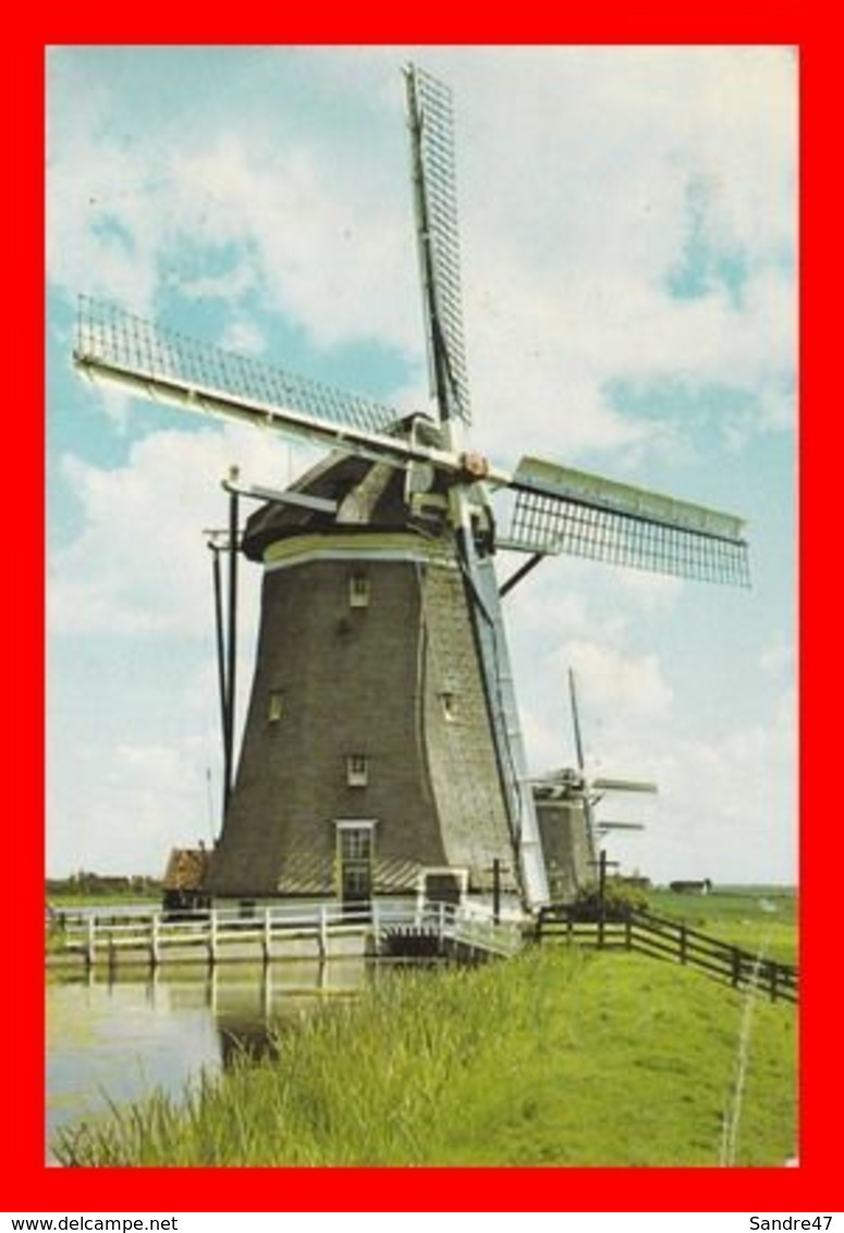 CPSM/gf  LEIDSCHENDAM (Hollande)  Driegang Van De Driemanspolder..*4344 - Leidschendam