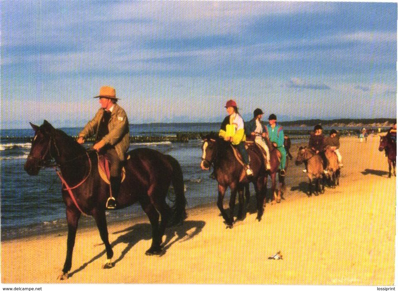 Hikers With Horses - Chevaux