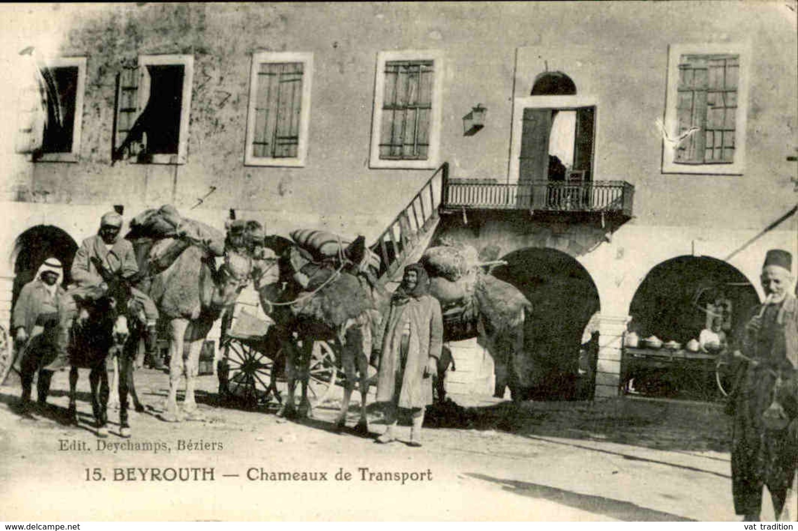 LIBAN - Carte Postale - Beyrouth - Chameaux De Transport - L 66996 - Liban