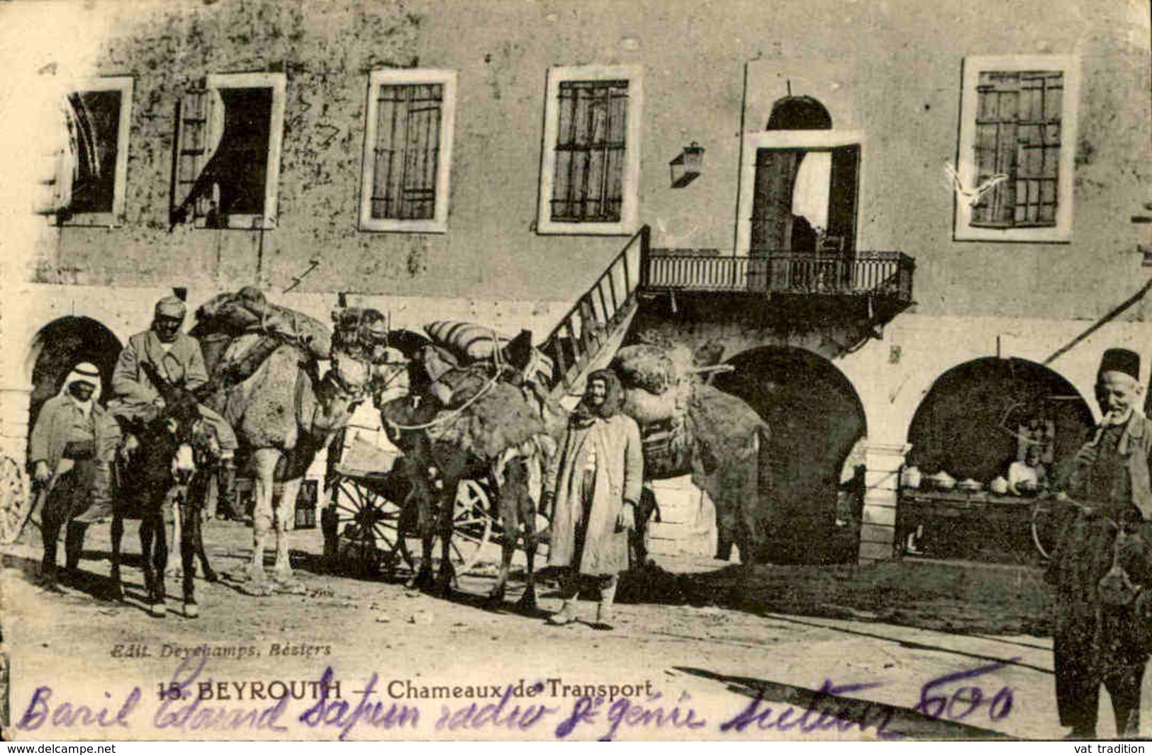 LIBAN - Carte Postale - Beyrouth - Chameaux De Transport - L 67001 - Liban