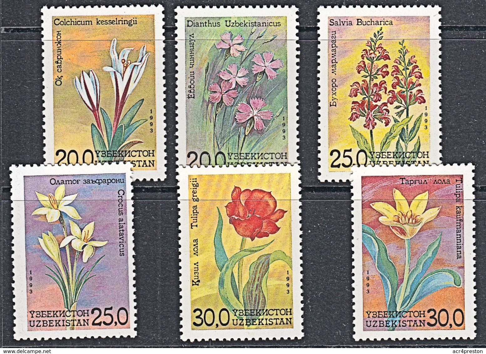 A1322 UZBEKISTAN 1993, SG 35-40  Flowers,  MNH - Ouzbékistan