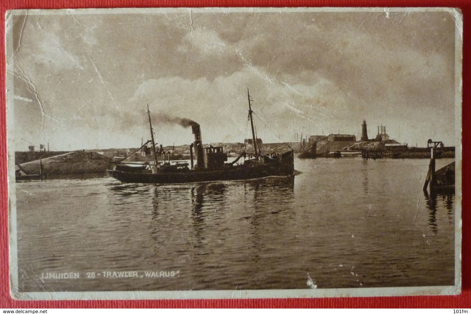 NETHERLANDS , IJMUIDEN - TRAWLER WALRUS - Steamers