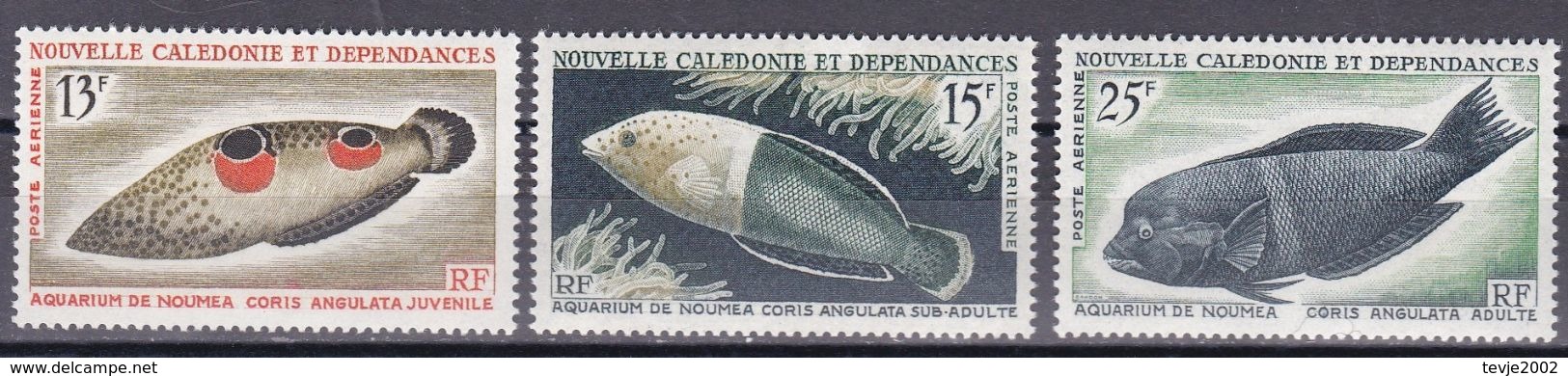 Neukaledonien 1965 - Mi.Nr. 415 - 417 - Postfrisch MNH - Tiere Animals Fische Fishes - Poissons