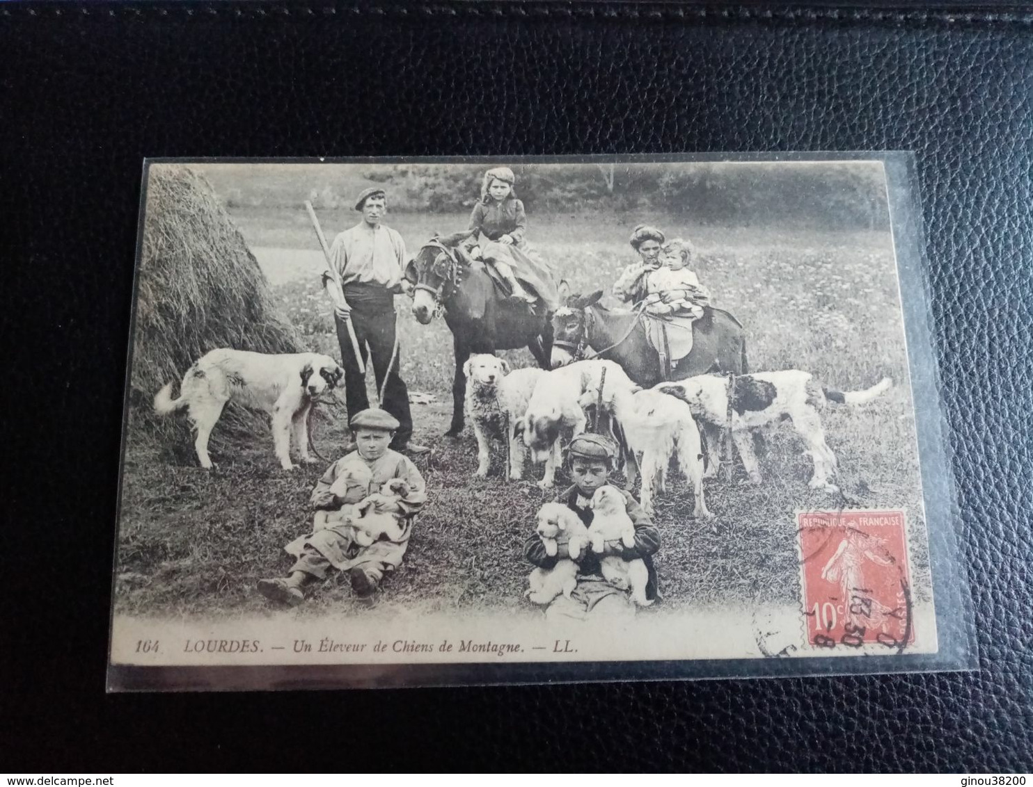 A3: UN ÉLEVEUR DE CHIENS DE MONTAGNE (ANIMÉE) - Lourdes