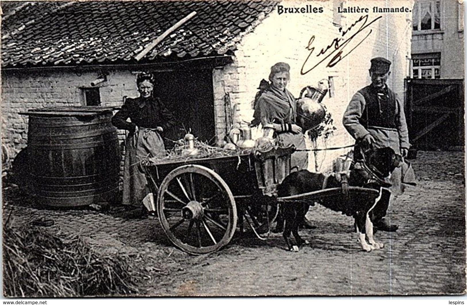 BELGIQUE - BRUXELLES - Laitière Flamande - Old Professions