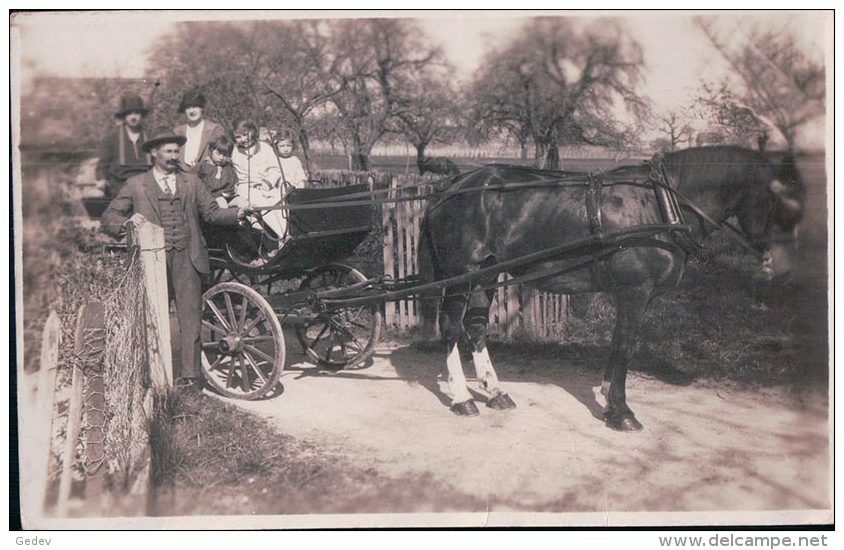 St Prex ?, Attelage D'un Cheval, Départ En Famille (21920) Plis - Saint-Prex