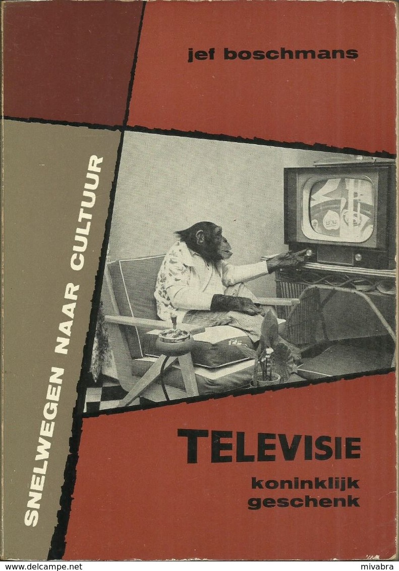 TELEVISIE KONINKLIJK GESCHENK - JEF BOSCHMANS - Uitgeverij DE GARVE - 1963 - Deel 9 In De Serie "SNELWEGEN NAAR CULTUUR" - Antique