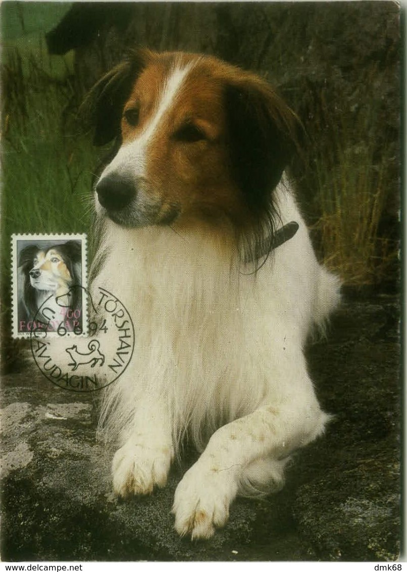 DENMARK  - TORSHAVN UTGAVUDUGIN -  MAXIMUM CARD - DOG - 6/6/1994  (BG9667) - Cartes-maximum (CM)