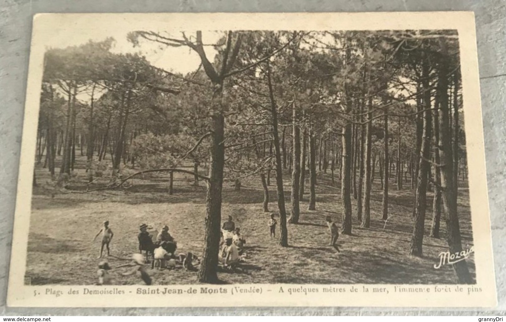 85 Saint Jean  De Monts Picnic En Famille Dans La Foret De Pins - Saint Jean De Monts