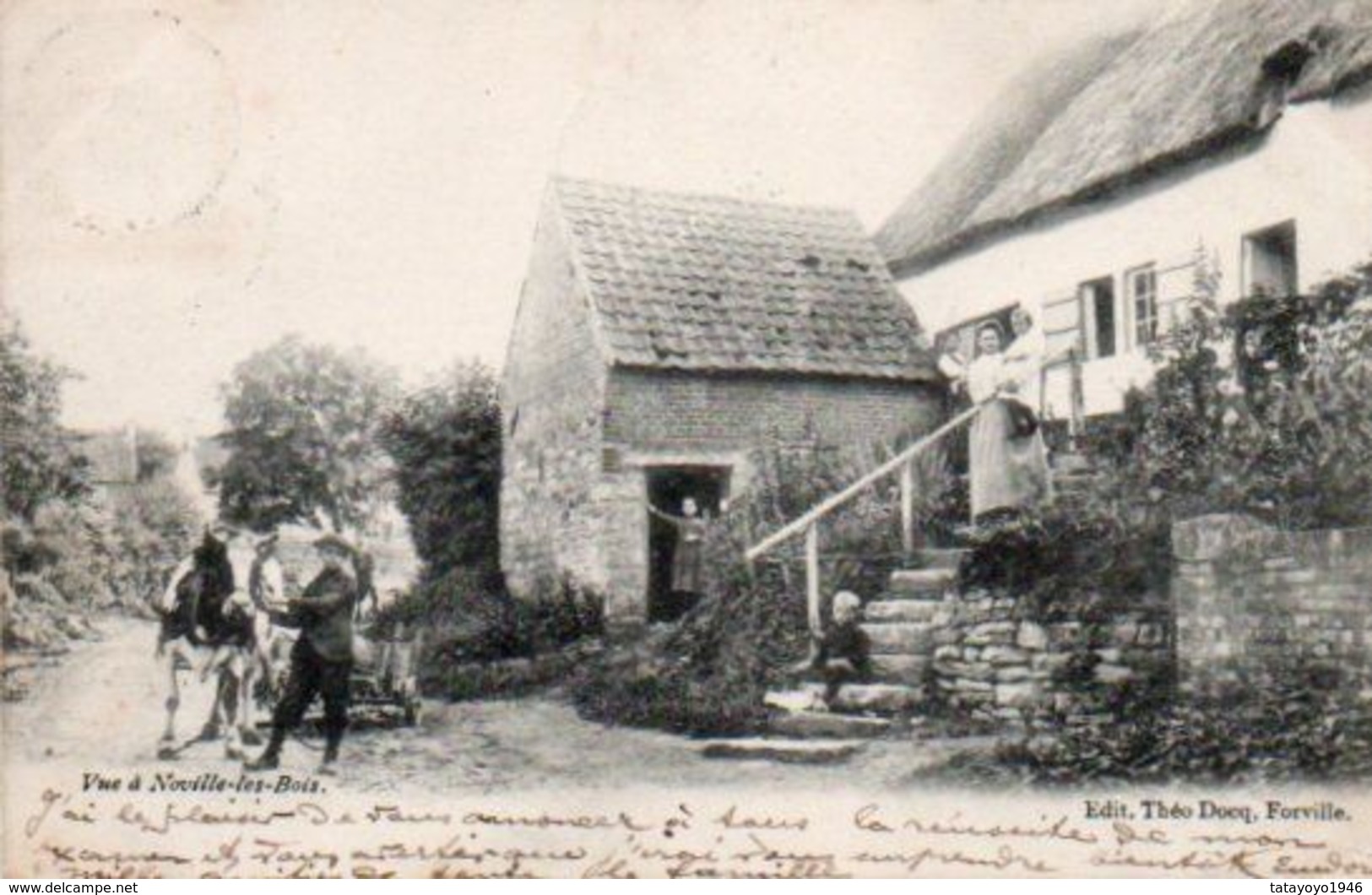 Vue  à Noville-les-bois Village  Circulé En 1903 - Fernelmont