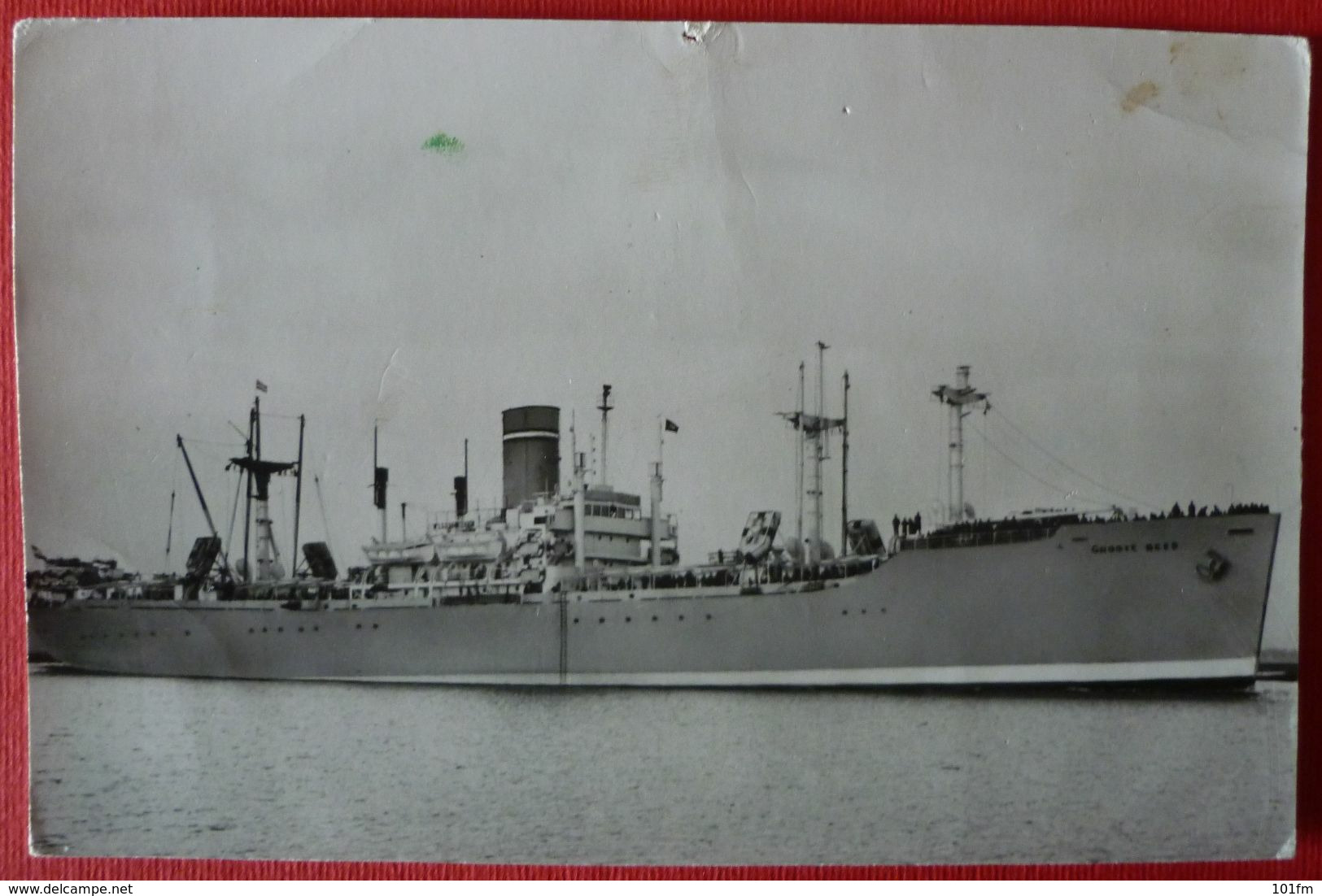 S.S. GROOTE BEER - NV Scheepvaart Mij "Trans-Oceaan" - Steamers