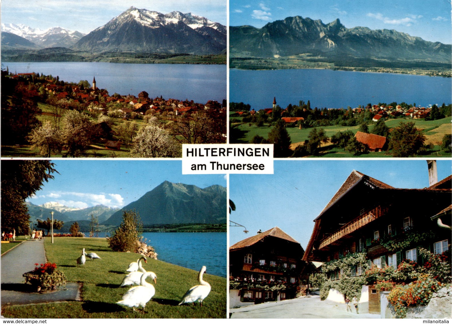 Hilterfingen Am Thunersee - 4 Bilder (32100) * 22. 8. 1995 - Hilterfingen