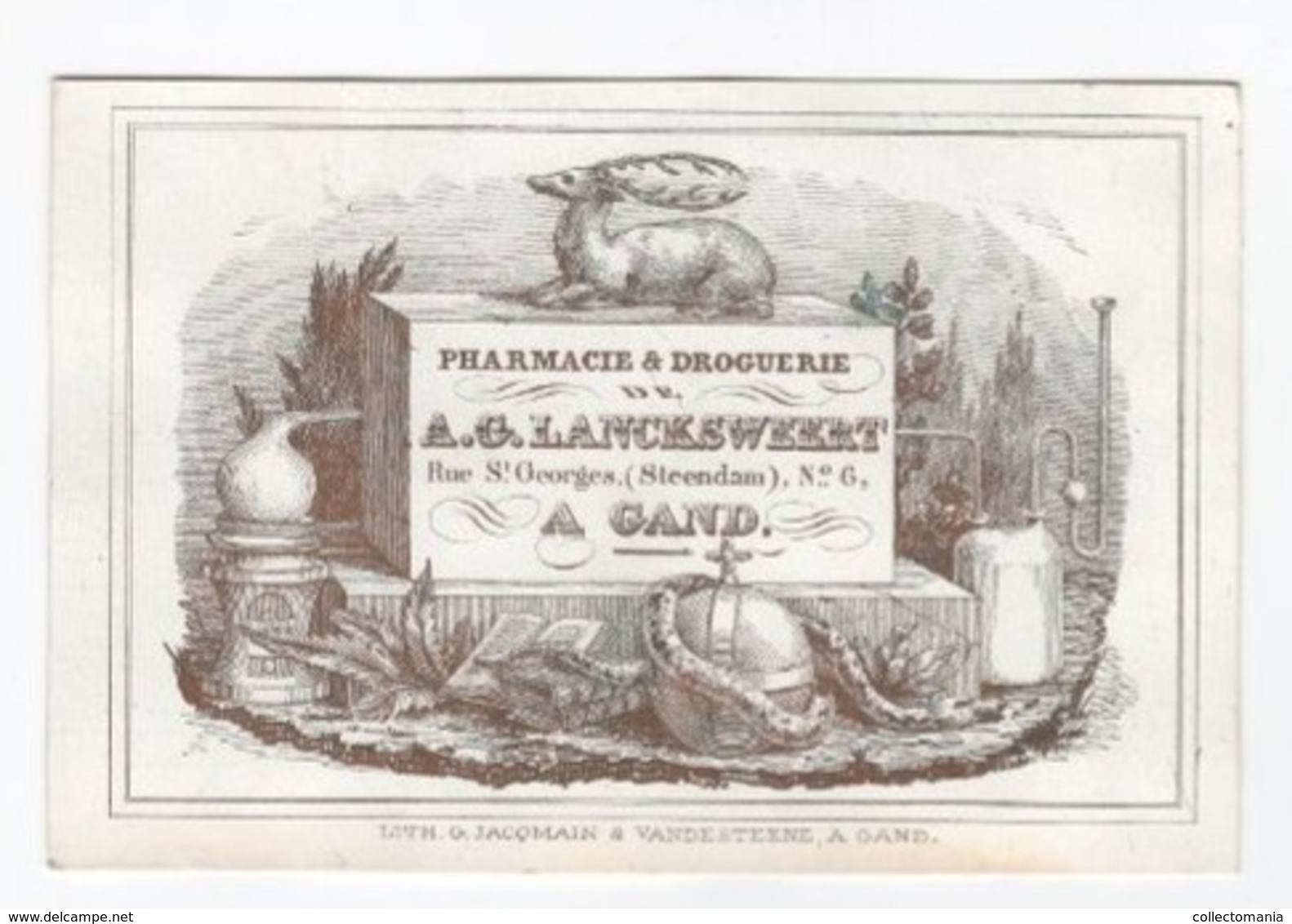 1 Carte Porcelaine  Pharmacie & Droguerie A.Lancksweert Rue St.George Steendam Gand Lith.Vande Steene Afm.:12x8cm - Porcelana