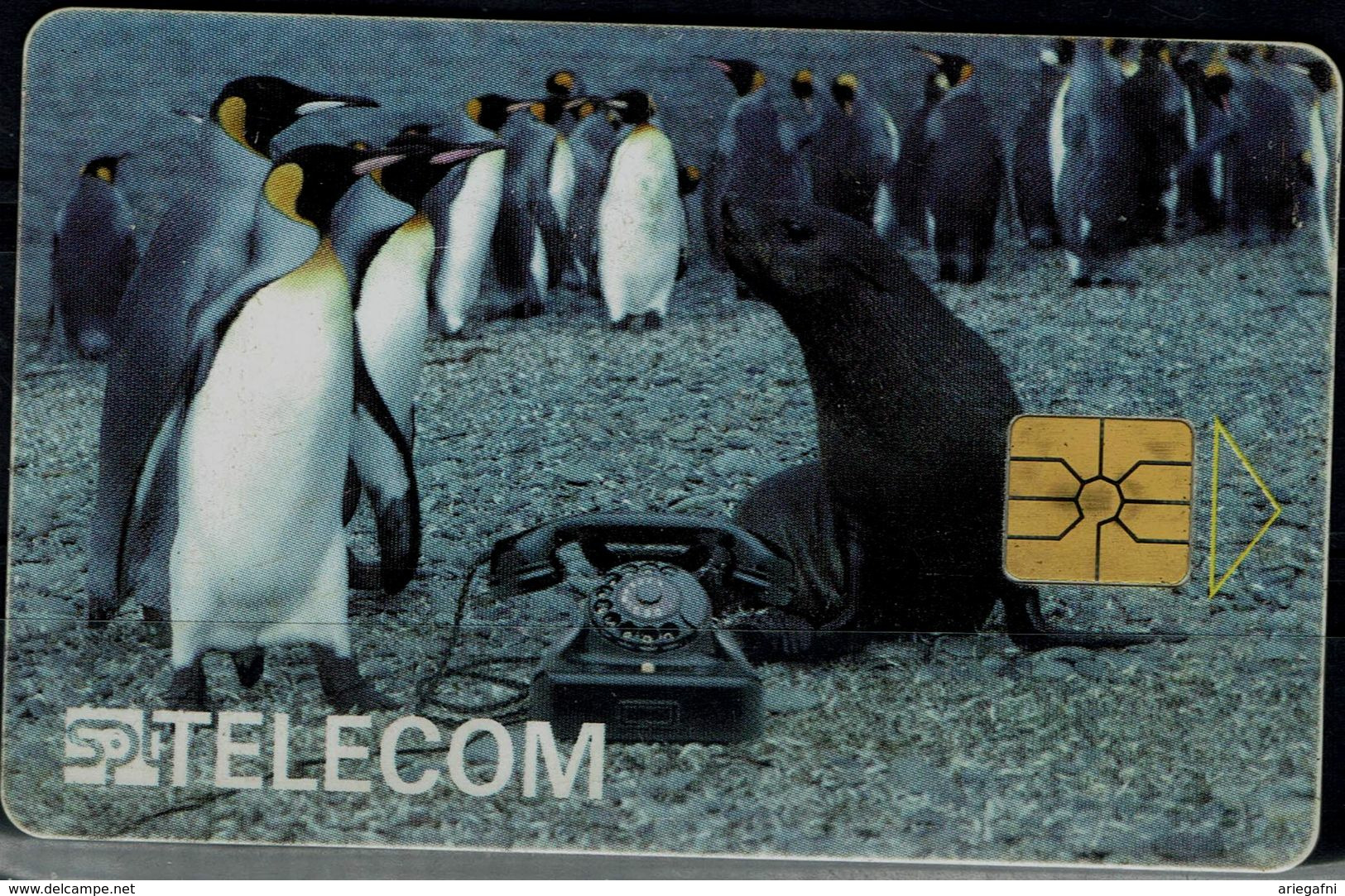 CZECHOSLOVAKIA  1996 PHONECARD PINGUINS USED VF!! - Pingueinos