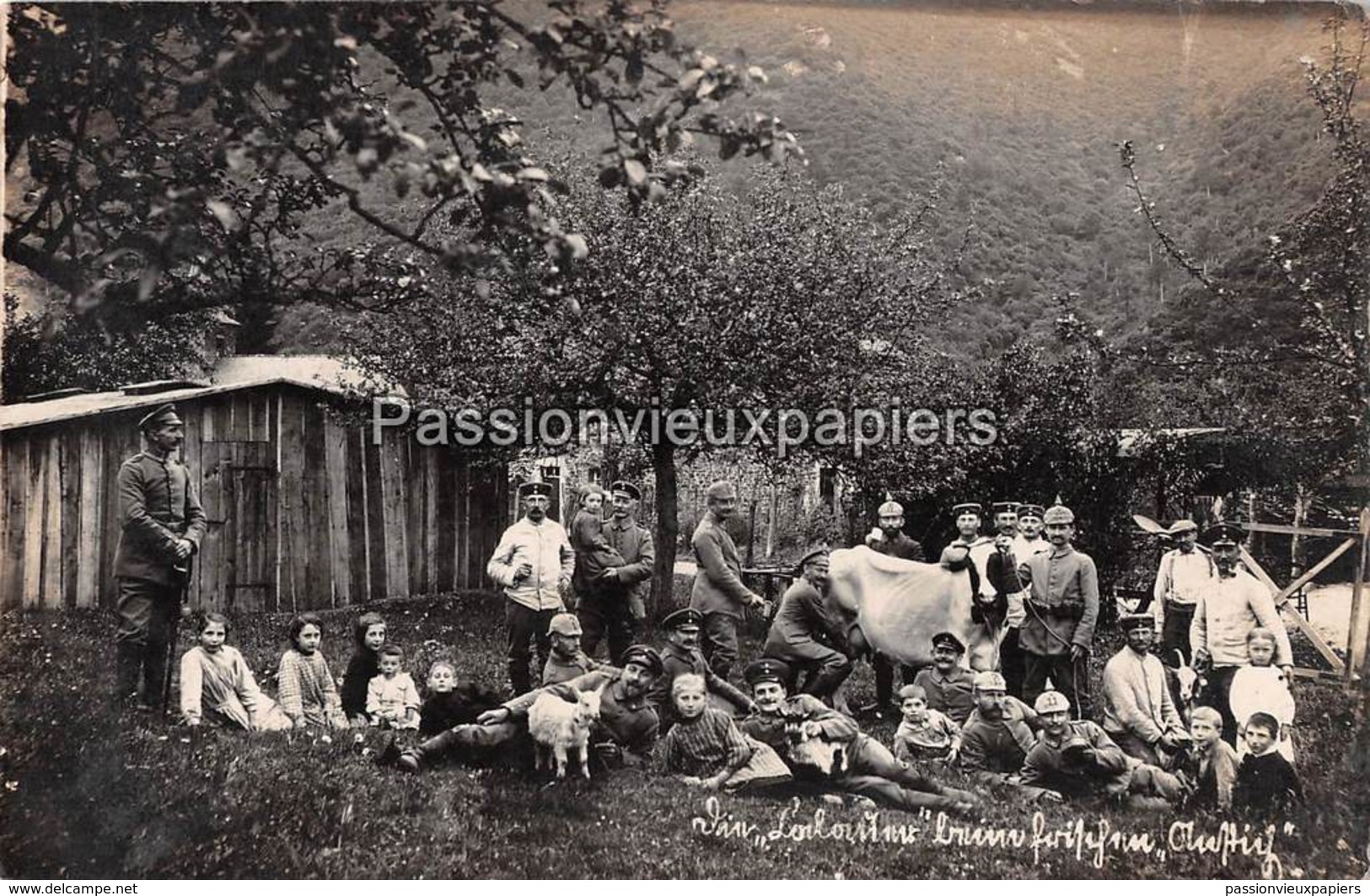 CARTE PHOTO  ALLEMANDE ANCHAMPS 1916  UNE FERME - Sonstige & Ohne Zuordnung