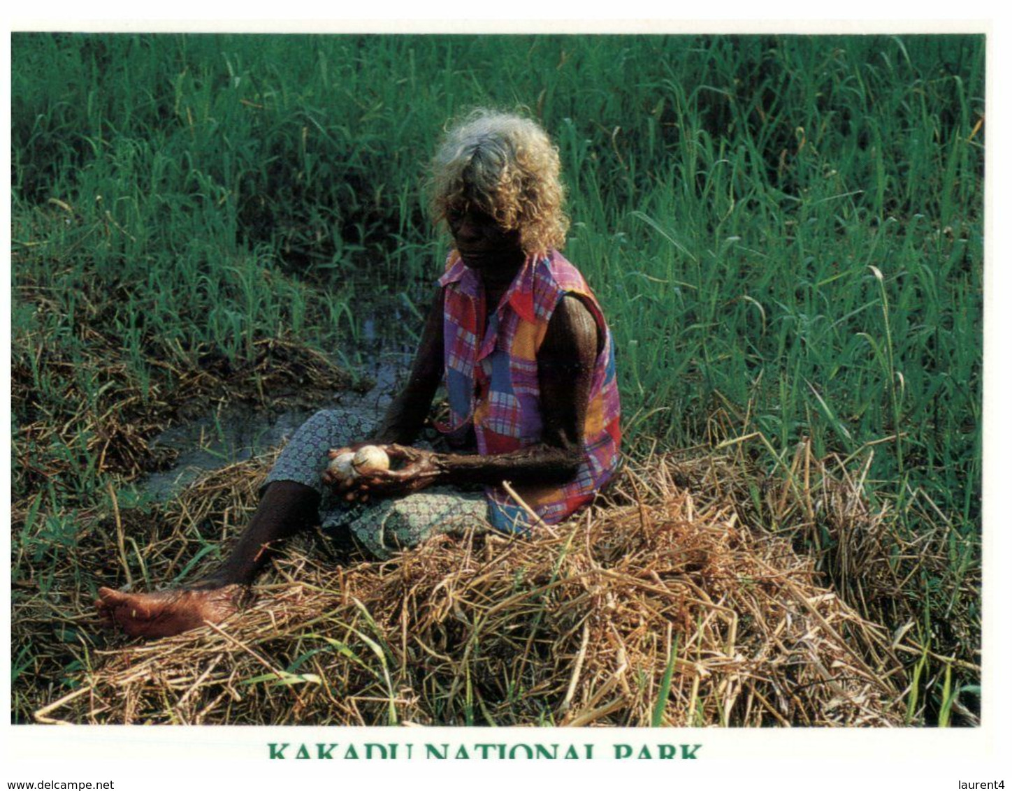 (I 23/A) Australia - Aborigene Lady Cookin Crocodile Egss (Kakadu NP) (NTS298) - Aborigènes