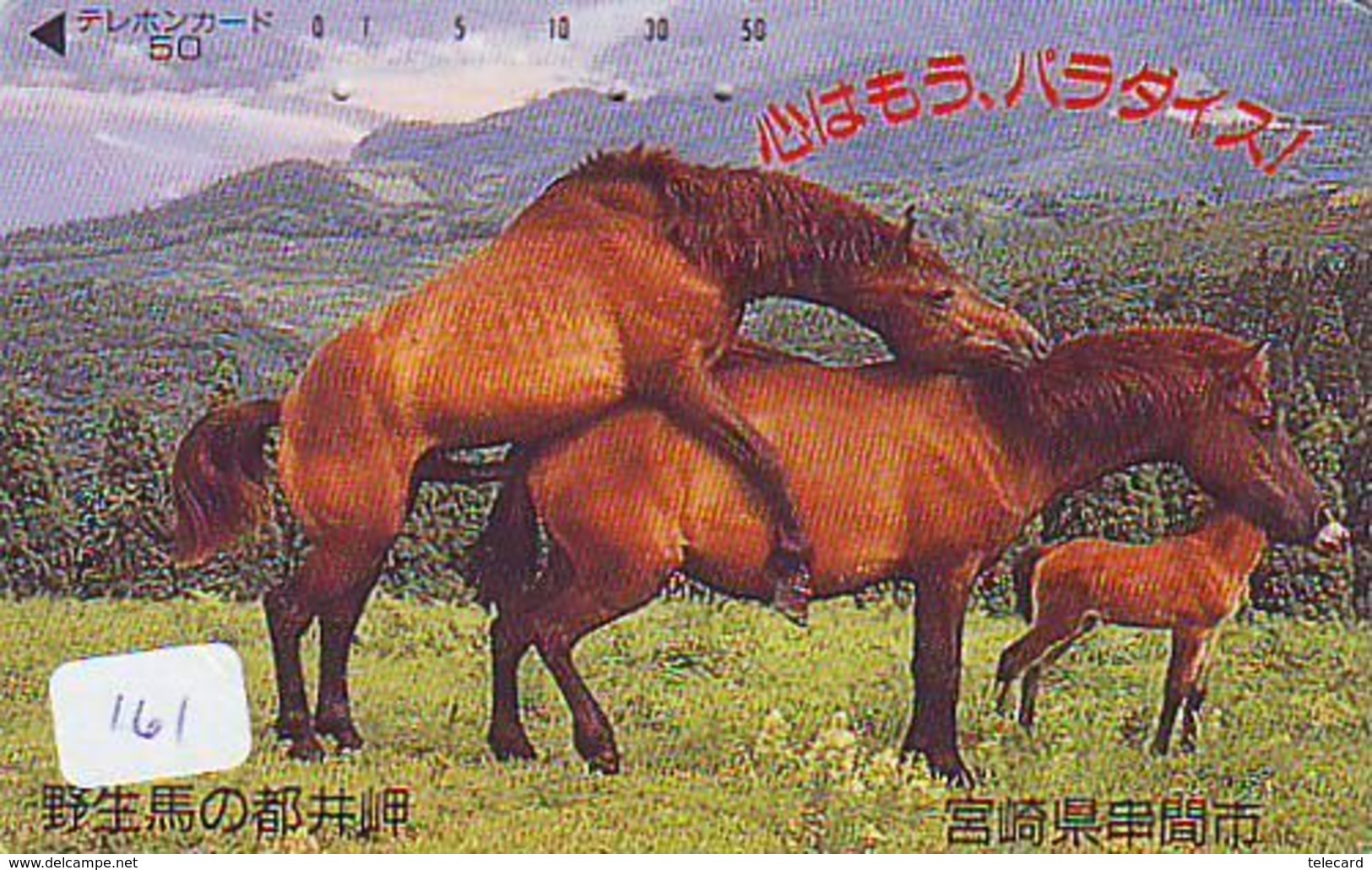 CHEVAL PFERD REITEN Horse Paard Caballo (161) CHEVAL étalon Reproduction HORSE MATING - Pferde
