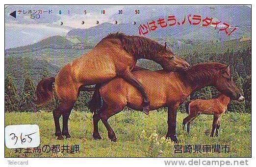 Télécarte Japon Animaux - CHEVAL érotique étalon - Erotic HORSE Japan Phonecard - Erotik PFERD Telefonkarte  (365) - Pferde