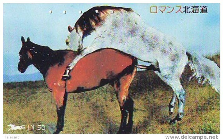 Télécarte Japon Animaux - CHEVAL érotique étalon (568) Erotic HORSE Japan Phonecard - Erotik PFERD Telefonkarte - Pferde