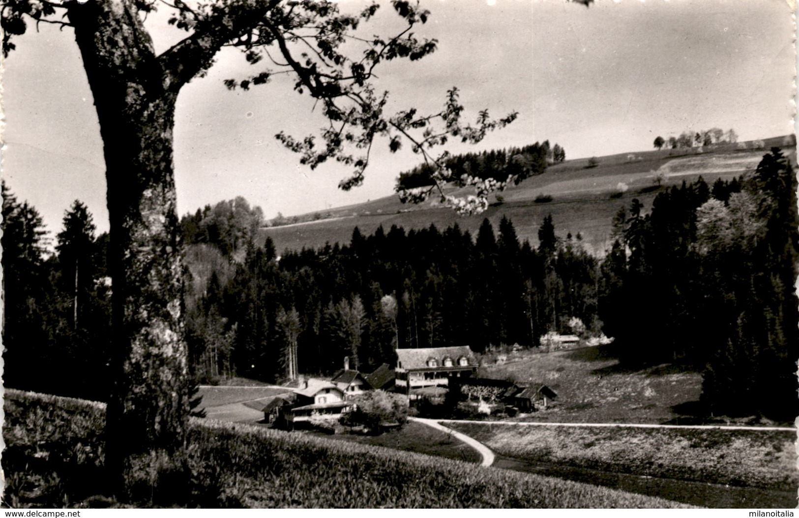 Pension Schnittweyerbad Ob Steffisburg (2572) * 20. 7. 1955 - Steffisburg