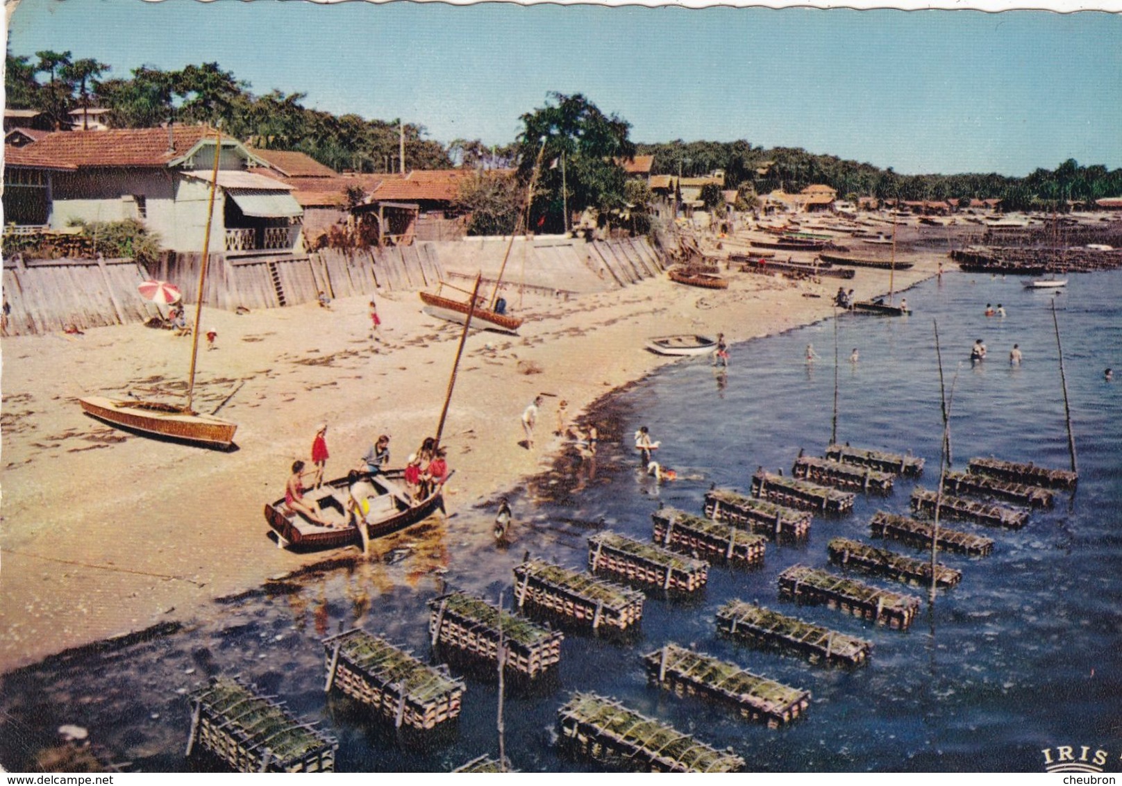 33. BASSIN D'ARCACHON.  LES CAGES A HUÎTRES . ANNEE 1960 + TEXTE - Arcachon