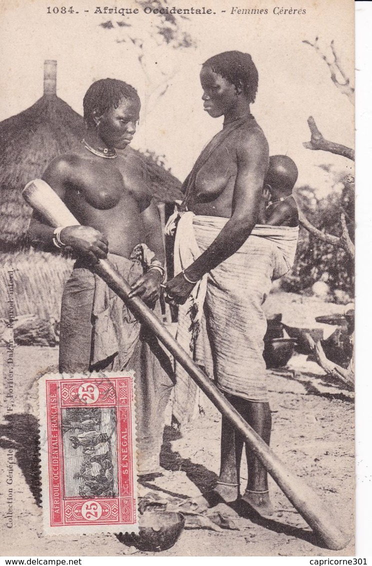 Aof Sénégal Femmes Cérèrés 1931 - Ivory Coast