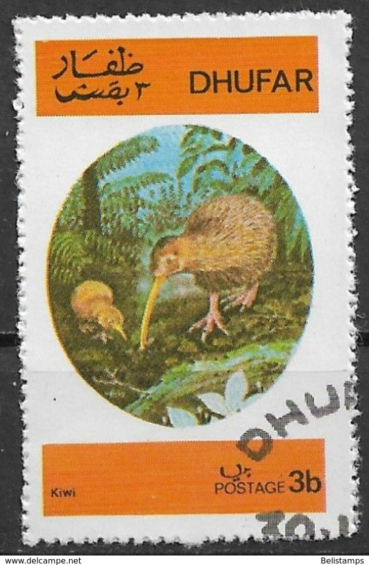 Dhufar 1973. #D (U) Bird, Kiwis - Kiwi