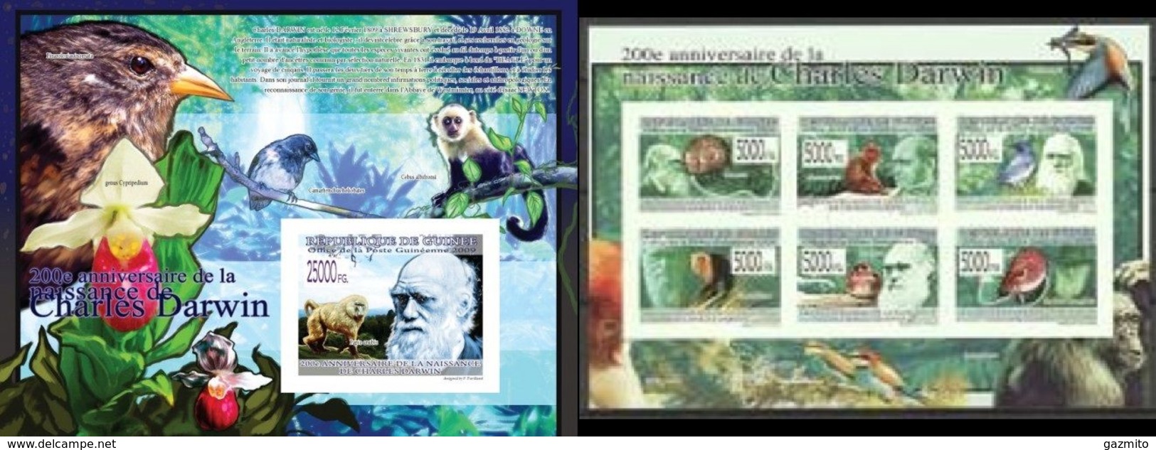 Guinea 2009, 200th Darwin II, Monkeys, Birds, Orchids, 6val In BF +BF IMPERFORATED - Other & Unclassified