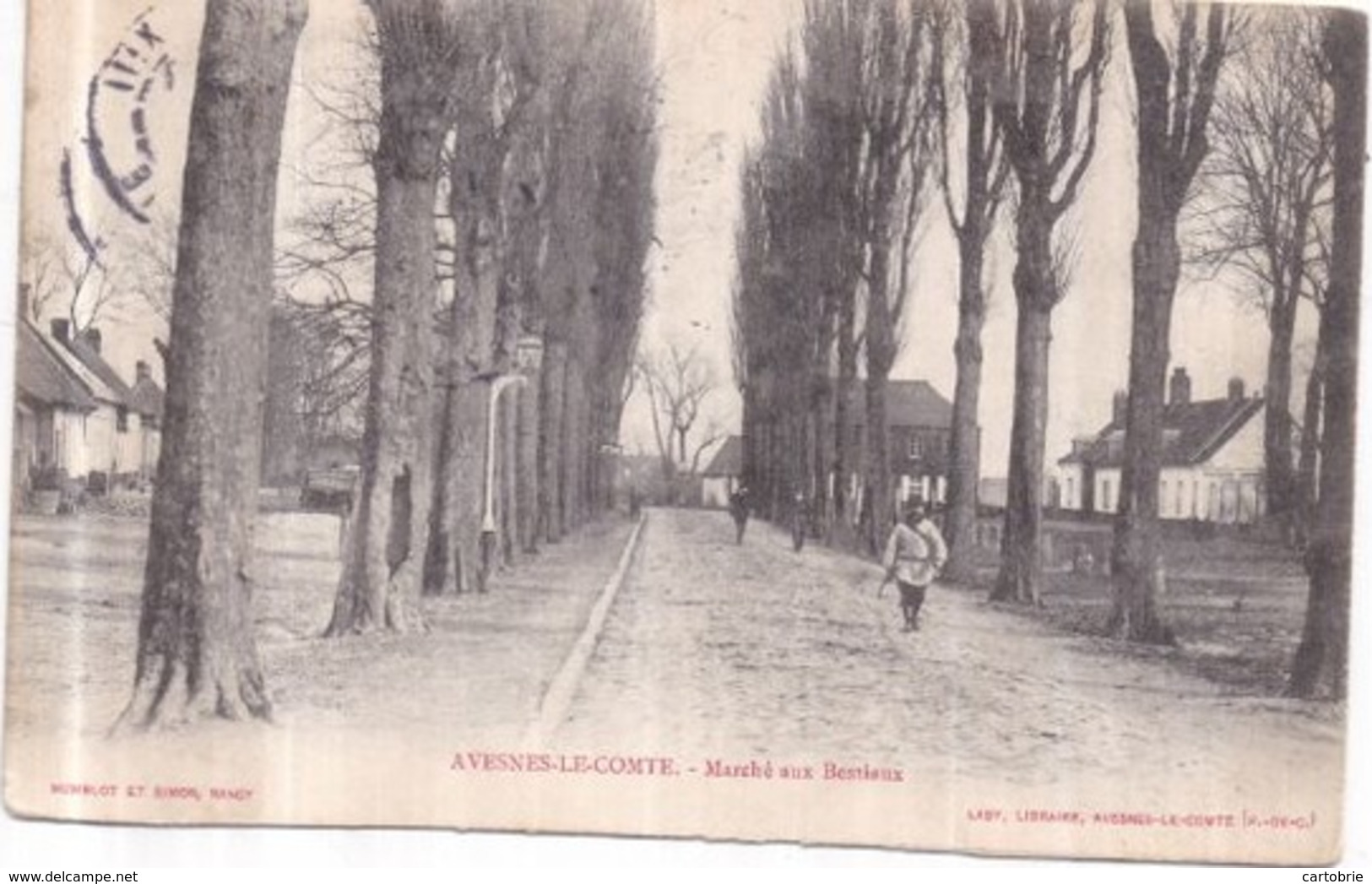 Dépt 62 - AVESNES-LE-COMTE - Marché Aux Bestiaux - Animée, Facteur - Avesnes Le Comte