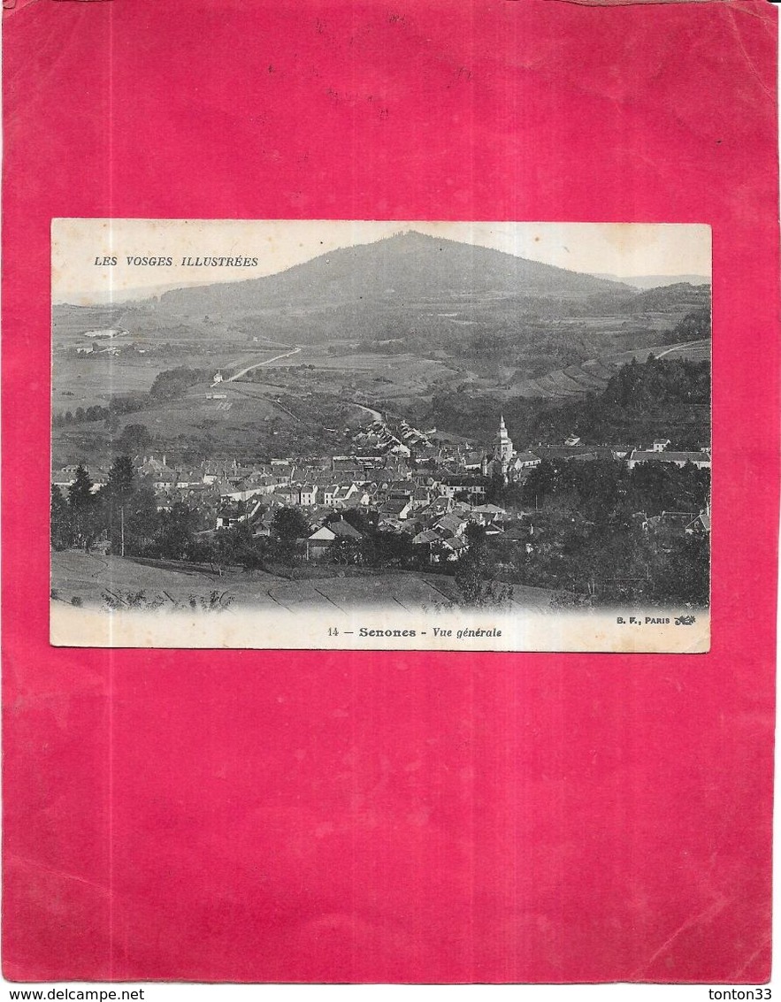 SENONES - 88 - Vue Générale - 150820 - - Senones