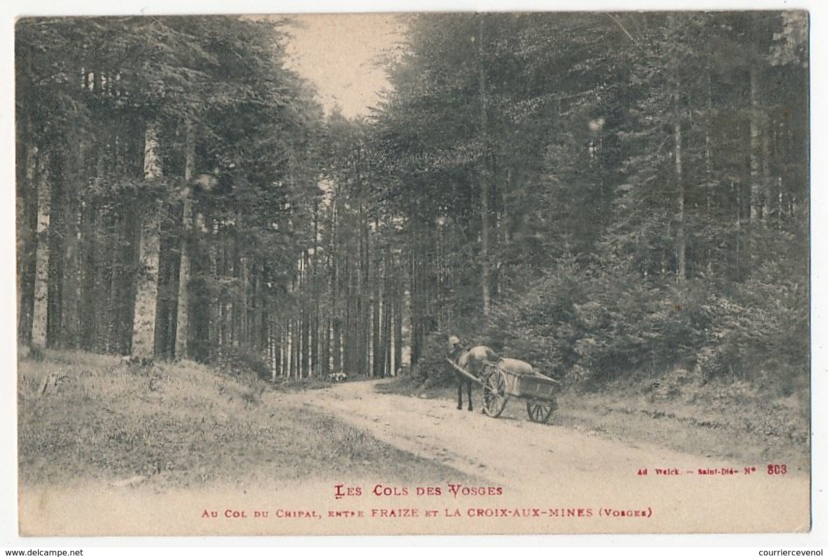 CPA - FRAIZE (Vosges) - Au Col Du Chipal,entre Fraize Et La Croix Aux Mines - Fraize