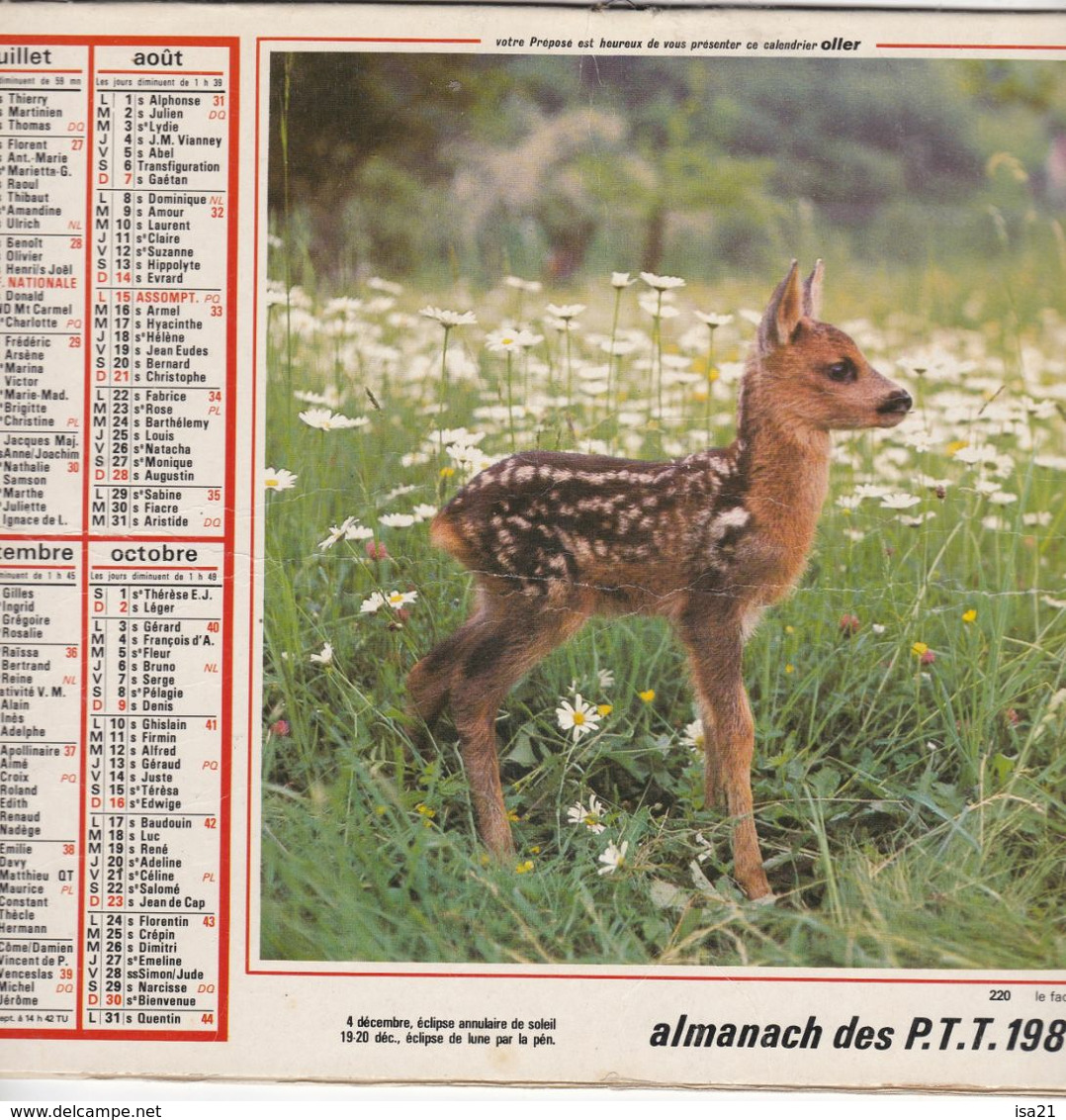 Almanach Du Facteur, Calendrier De La Poste, 1983 Côte D'Or, Faon, Poney Blanc - Groot Formaat: 1981-90