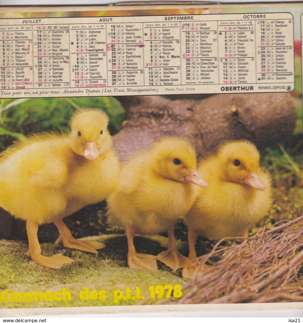 Almanach Du Facteur, Calendrier De La Poste, 1978, Côte D'Or, Chevaux , Petits Canards - Grand Format : 1971-80