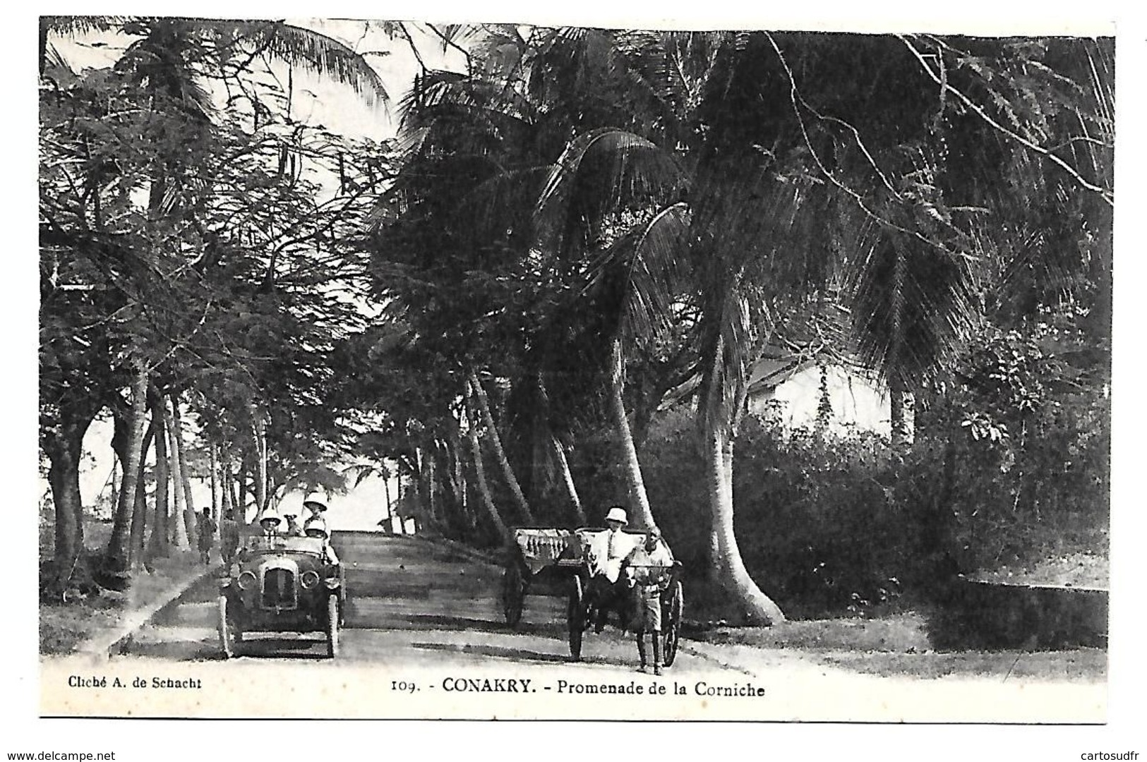 CONAKRY - PROMENADE DE LA CORNICHE - SUPERBE - Guinée