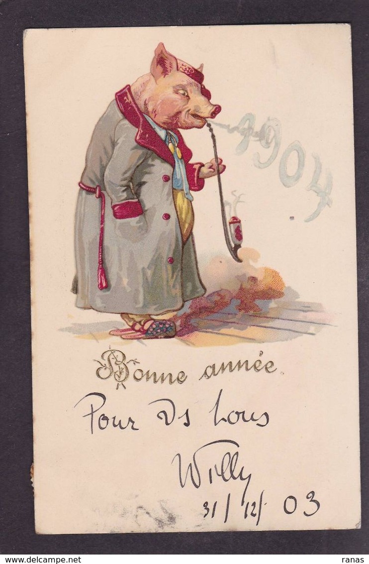 CPA Cochon Position Humaine Circulé Pipe Tabac Année 1904 - Schweine
