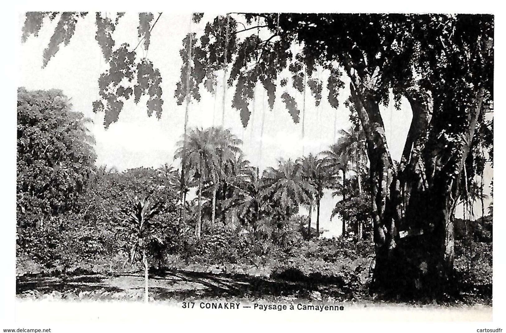 CONAKRY - PAYSAGE A CAMAYENNE (bleu ) - SUPERBE - Guinée