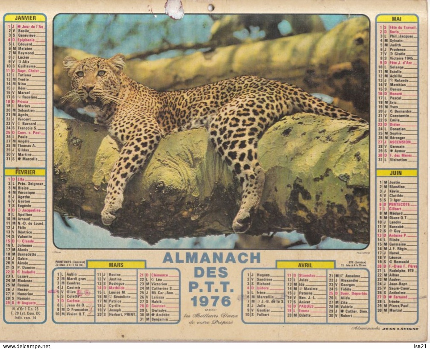 Almanach Du Facteur, Calendrier De La Poste,1976, COTE D'OR, Cheval Pur-sang, Léopard - Grand Format : 1971-80