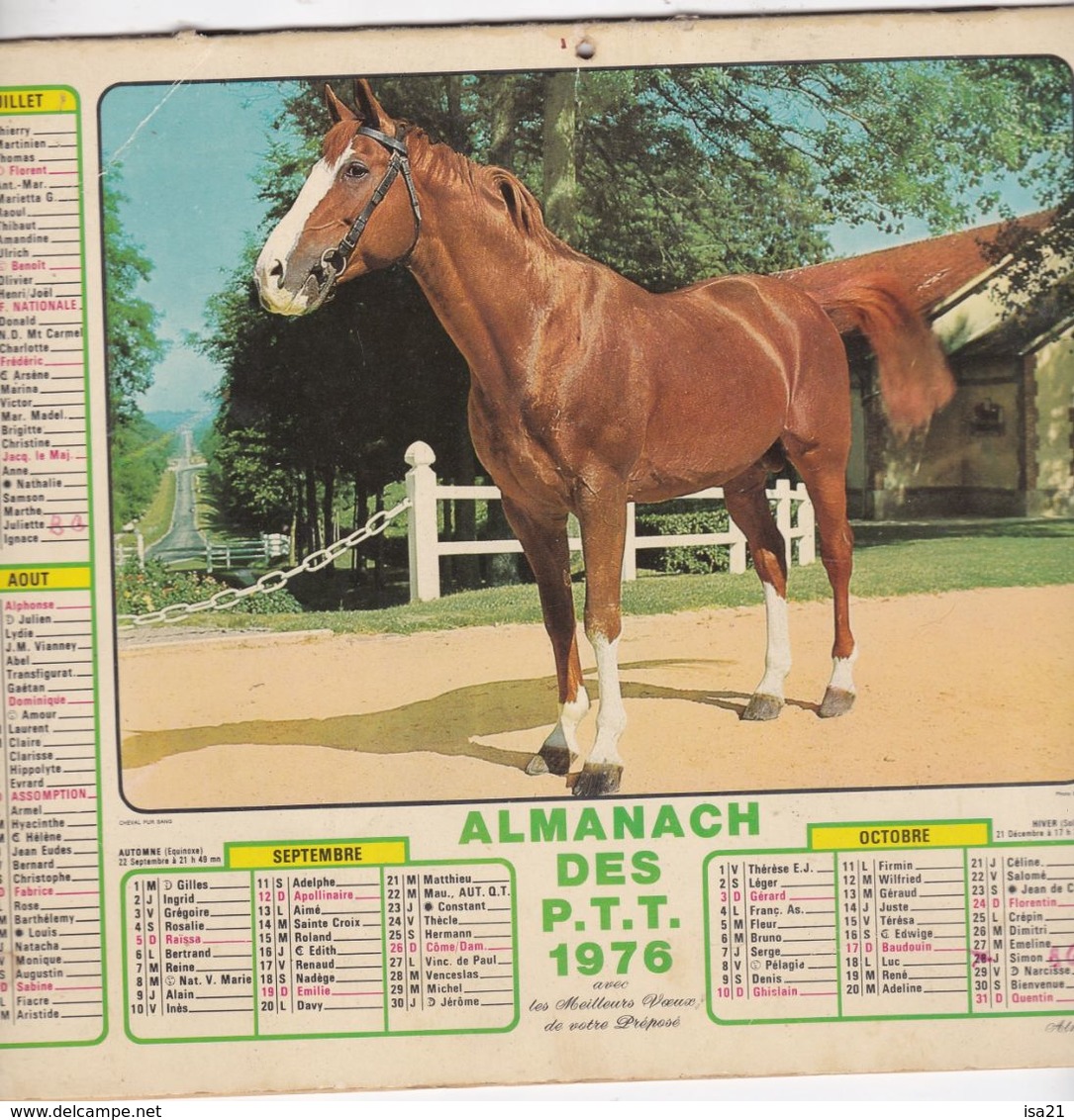Almanach Du Facteur, Calendrier De La Poste,1976, COTE D'OR, Cheval Pur-sang, Léopard - Grand Format : 1971-80