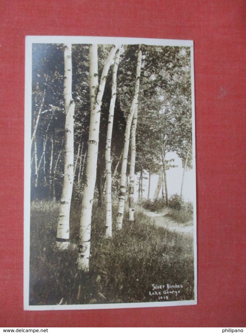 - New York > Lake George   RPPC  Silver Birches  Ref 4298 - Lake George