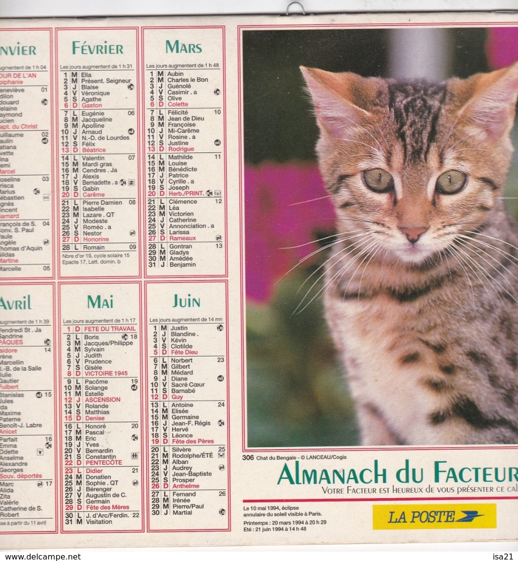 Almanach Du Facteur, Calendrier De La Poste,1994, COTE D'OR, Chats Du Bengale, Bichons Bolonais - Grand Format : 1991-00