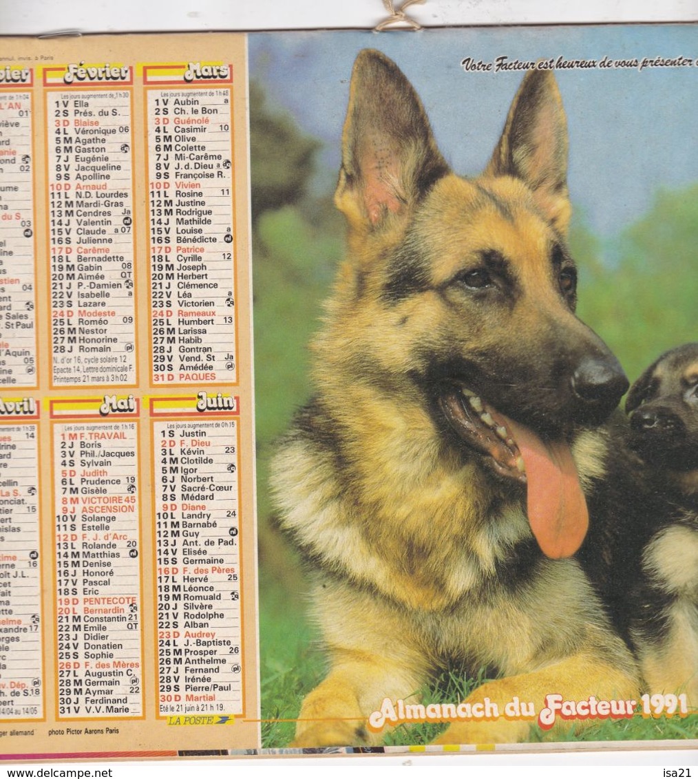 Almanach Du Facteur, Calendrier De La Poste,1991, COTE D'OR, Berger Allemand Avec Son Chiot, Cheval Et Poulain - Grand Format : 1991-00