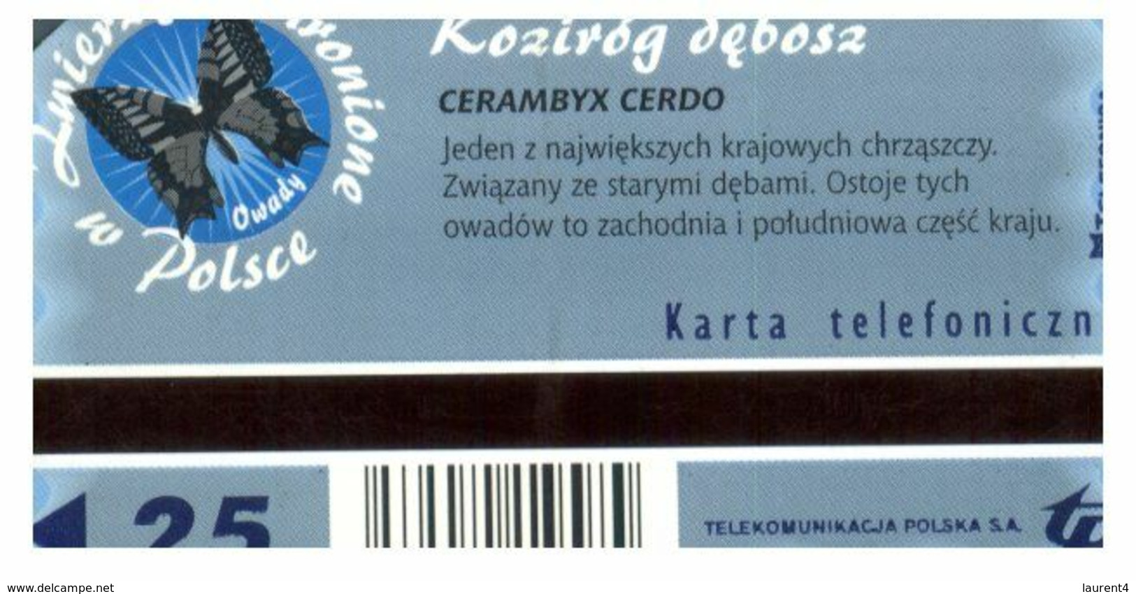 (16-8-202 X) Poland Insect - ネコ -Carte Tephone / Phonecard / Telefonkarte / Carta Telefonica / Tarjeta Telefónica - Otros & Sin Clasificación